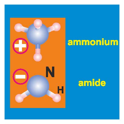 Rysunek 1. Schematyczne przedstawienie amidku ammonu (NH4+NH2‾). Ten związek powstaje poprzez przeniesienia protonu (H+) pomiędzy neutralnymi molekułami amiaku (NH3). Taki „przeskok” staje się możliwy w ciśnieniu około 1.2 mln atm. 