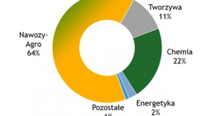 Grupa Azoty: Jaki był I kwartał 2016?