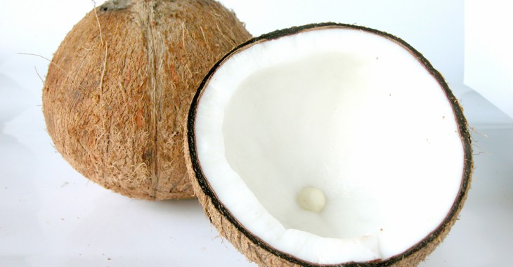 Firmy BASF, Cargill, P&G i GIZ podjęły współpracę w celu zapewnienia zrównoważonej produkcji certyfikowanego oleju kokosowego