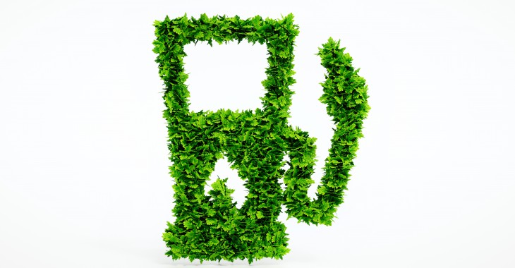 Zdaniem Szczęśniaka: Biopaliwa, czyli chronimy miejsca pracy