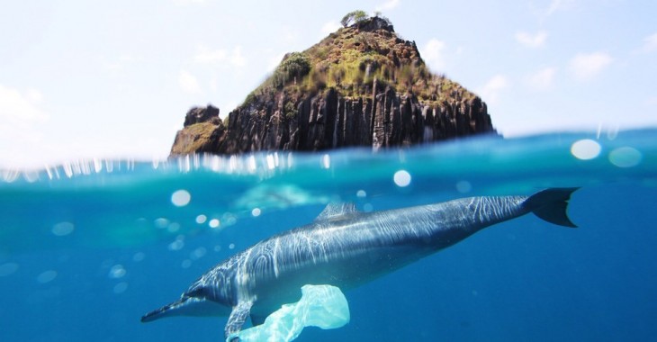 Rosnący problem plastiku w oceanach