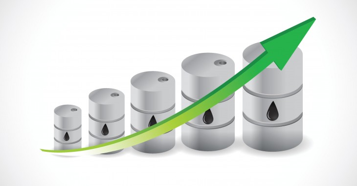Wzrost sprzedaży i efektywności w LOTOS Oil